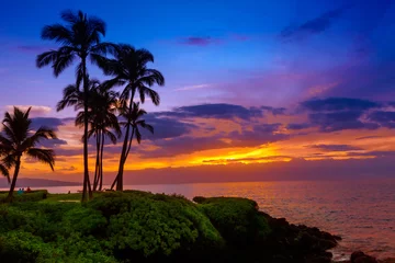 Crédence de cuisine en verre imprimé Mer / coucher de soleil Tropical island sunset with silhouette of palm trees, hot summer day vacation background, golden sky with sun setting over horizon
