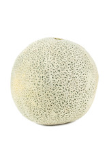 melon fruit