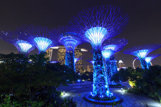 Supertree grove and Marina Bay Sands at night in Gardens by the Bay, Singapore