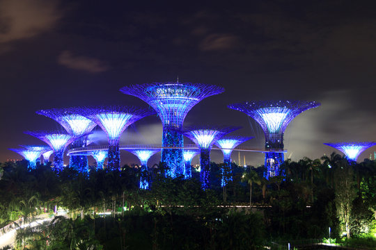 Supertree grove and walkway at night in Gardens by the Bay, Singapore