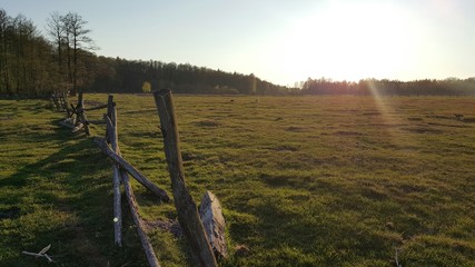Pastwisko © michalsen