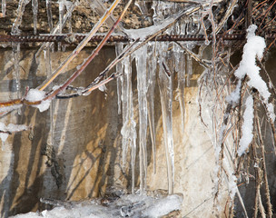 icicles on the branches of a tree