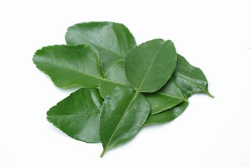 Leaf of bergamot (kaffir lime) isolated 