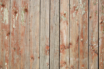 Fototapeta premium Old painted fence
