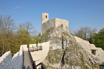 Smoleń © Tomasz Warszewski