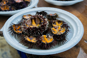 Plate of tasty and fresh Sea urchin