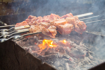 Delicious shashlik on the picnic