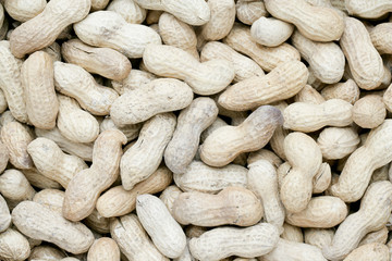 a group of groundnuts
