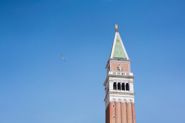 Fototapeta na wymiar Bell tower with a bird at St. Mark's square, Venice, copy space on blue sky background