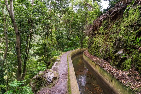 Levada Dos Tornos, Madeira