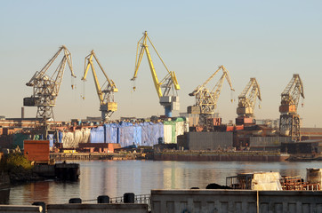 Fototapeta na wymiar Tower cranes at the port.