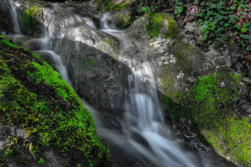 Fototapeta na wymiar Das Wasser fliesst im Bach durch den Wald zwischen dem Baum