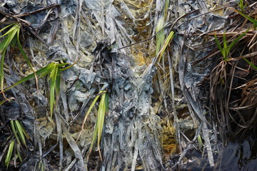 Грязная взвесь в воде ручья