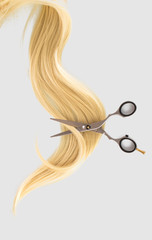 Hairdressing Scissors with a strand blond hair on a light background close-up