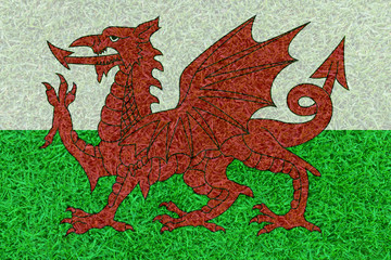 Football field textured by Wales national flags on euro 2016