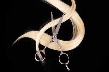 Hairdressing scissors with lock of blond hair on a black background close-up