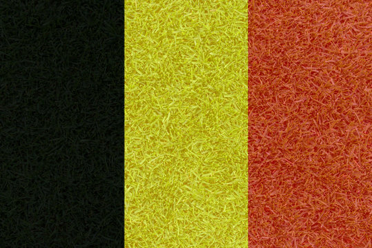 Football field textured by Belgium national flag on euro 2016