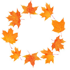 Naklejka na ściany i meble Autumn maple leaves shaped as round frame isolated on white