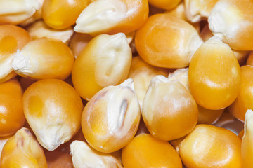 Goldgelbe Maiskörner