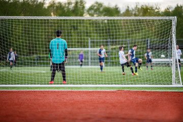 Young soccer goalie in the net
