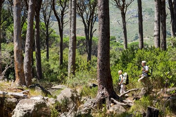 senior couple walking 