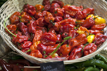 Scotch Bonnet or Habanero peppers in a basket. Selective focus