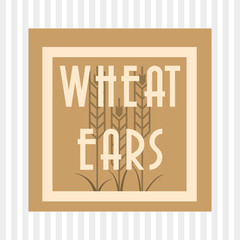 Wheat icon. grain design. Agriculture concept
