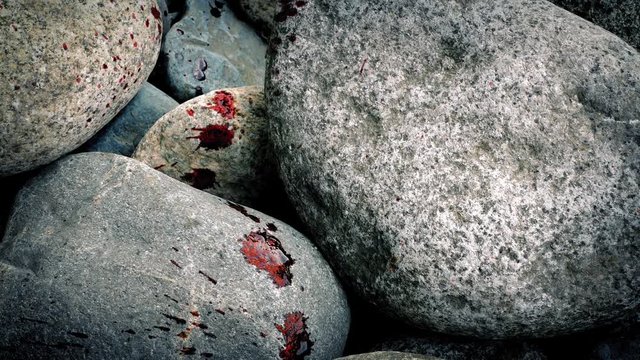 Blood Spatters Across Rocks