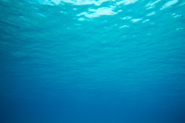 Fototapeta na wymiar underwater