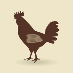 delicious bbq  design 