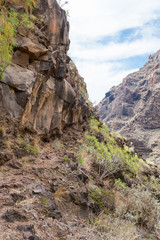 Fototapeta na wymiar Hike in the Argaga Canyon, The Barranco de Argaga is next to the Valle Gran Rey. The trail is heavy to hike and with the steep slopes a bit dangerous to walk. It is a steeply path through the gorge 