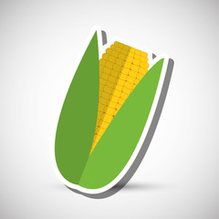 Organic food design. healthy food. menu concept, vector illustration