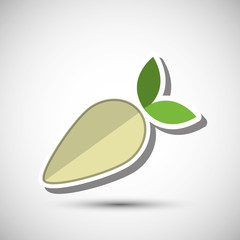 Organic food design. healthy food. menu concept, vector illustration