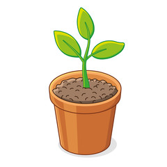 Green plant in a flower pot.
