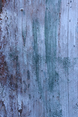 Obraz premium Old wood