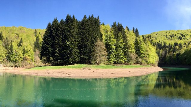 Irati Forest  in Navarra