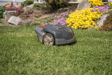 Mäh Roboter beim selbständigen Rasen mähen