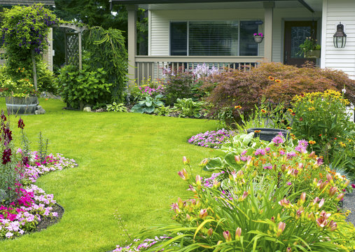 Manicured Yard July 2012