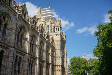 Obraz premium Exterior view of the Natural History Museum in London