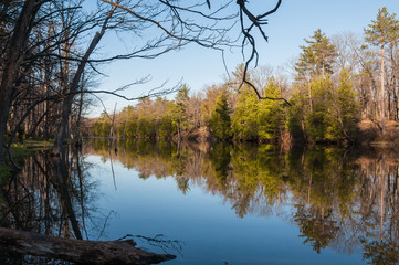 Fototapeta premium Lake view