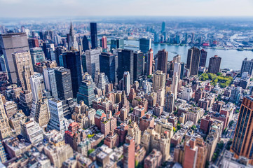New York City View
