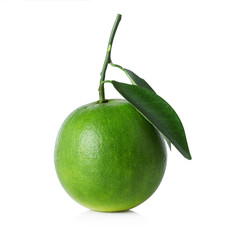 green grapefruits isolated on white background