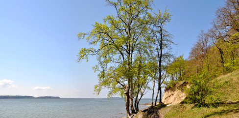 Großer Jasmunder Bodden