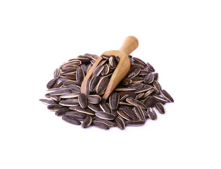 Sunflower seed isolate on white background