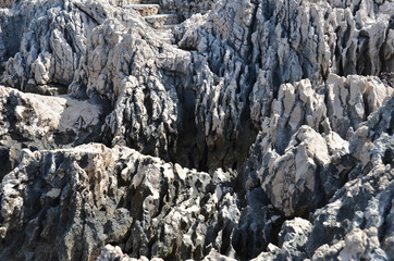 Fototapeta na wymiar Coastal rock landscape in Croatia