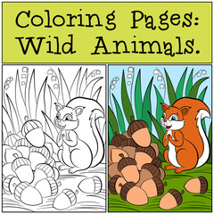 Little cute squirrel stands on the grass and looks at acorns.