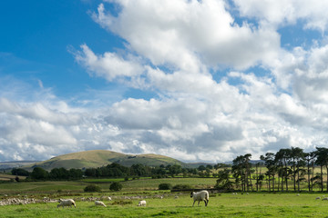 Fototapeta na wymiar Countryside of the Lake District