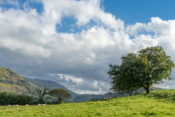 Countryside of the Lake District