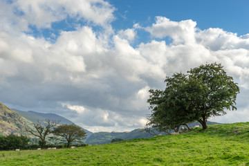 Countryside of the Lake District