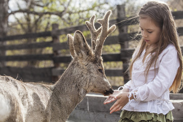 Beautiful little girl hugging animal ROE deer in the sunshine